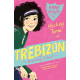 Hockey Term at Trebizon by ''Anne Digby''